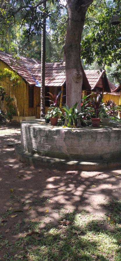 ורקלה Savithri Inn Cottage מראה חיצוני תמונה
